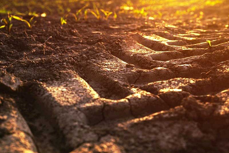 mezőgazdasági gumiabroncs mezőgazdasági gumiabroncs